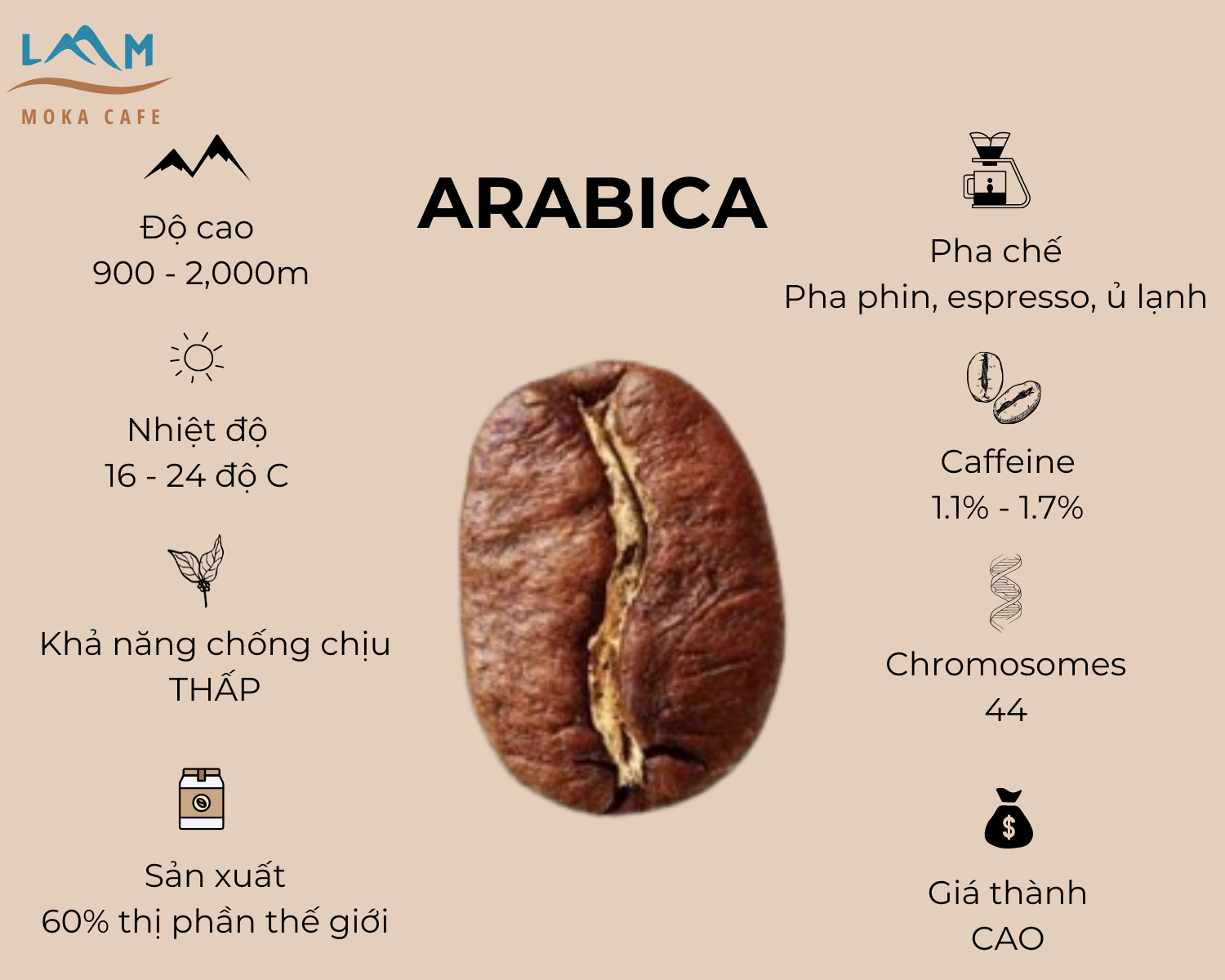 3 Cách Phân Biệt Giữa Cà Phê Arabica Và Cà Phê Robusta