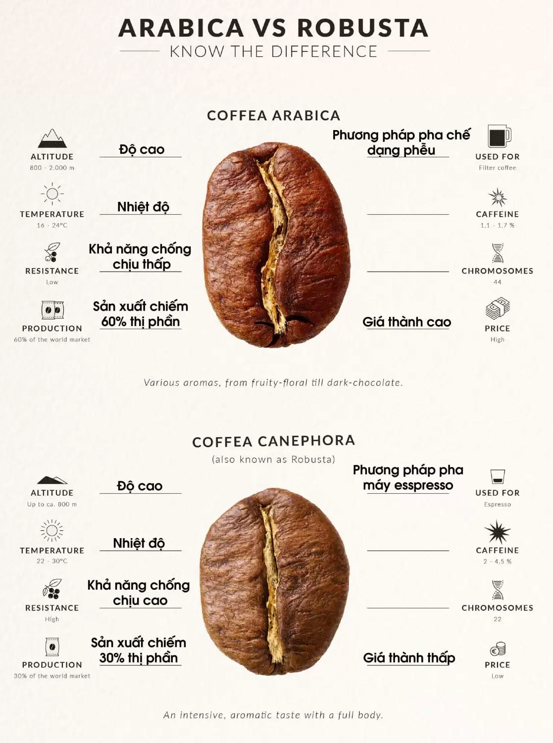 3 Cách Phân Biệt Giữa Cafe Arabica Và Cafe Robusta