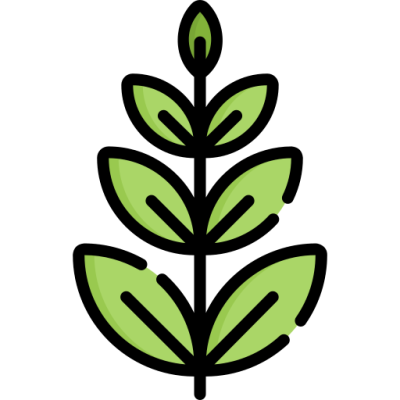 Leaf