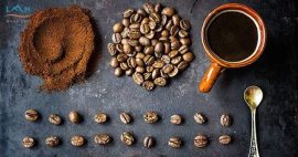 4 Tiêu Chí Cần Thiết Tạo Nên Ly Cà Phê Arabica Ngon đúng Chuẩn